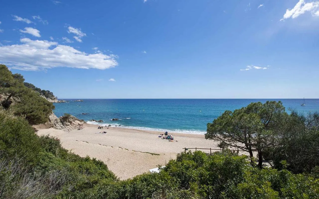 Casa Aurora Piscina Wifi Jardin 56 Pax Villa Girona
